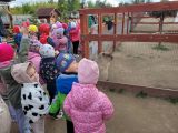 Farma Goławice, 
