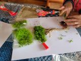 Farma Goławice, 